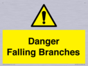 danger-falling-branches~